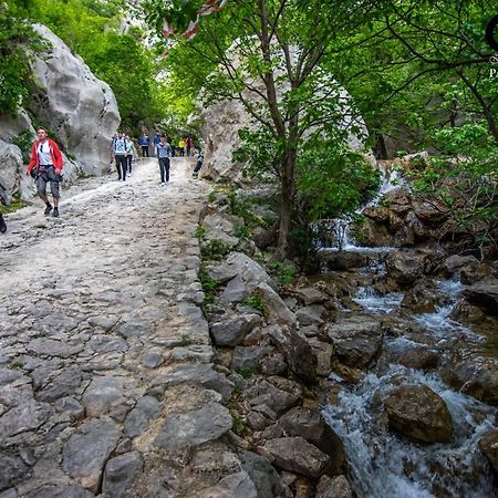 Apartment Maca Starigrad Paklenica Esterno foto